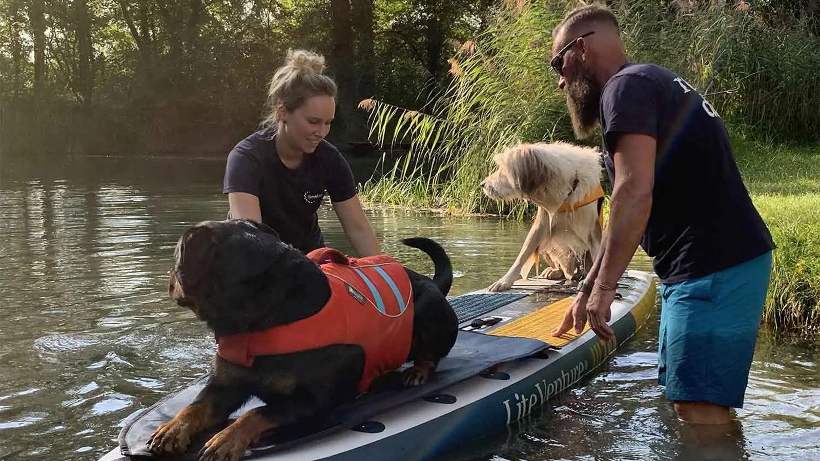 Titelbild zu " SUP-Hund-Training mit dem Lite Venture ULTRA und dem Dog Pad " auf Lite Venture ( www.liteventure.de )