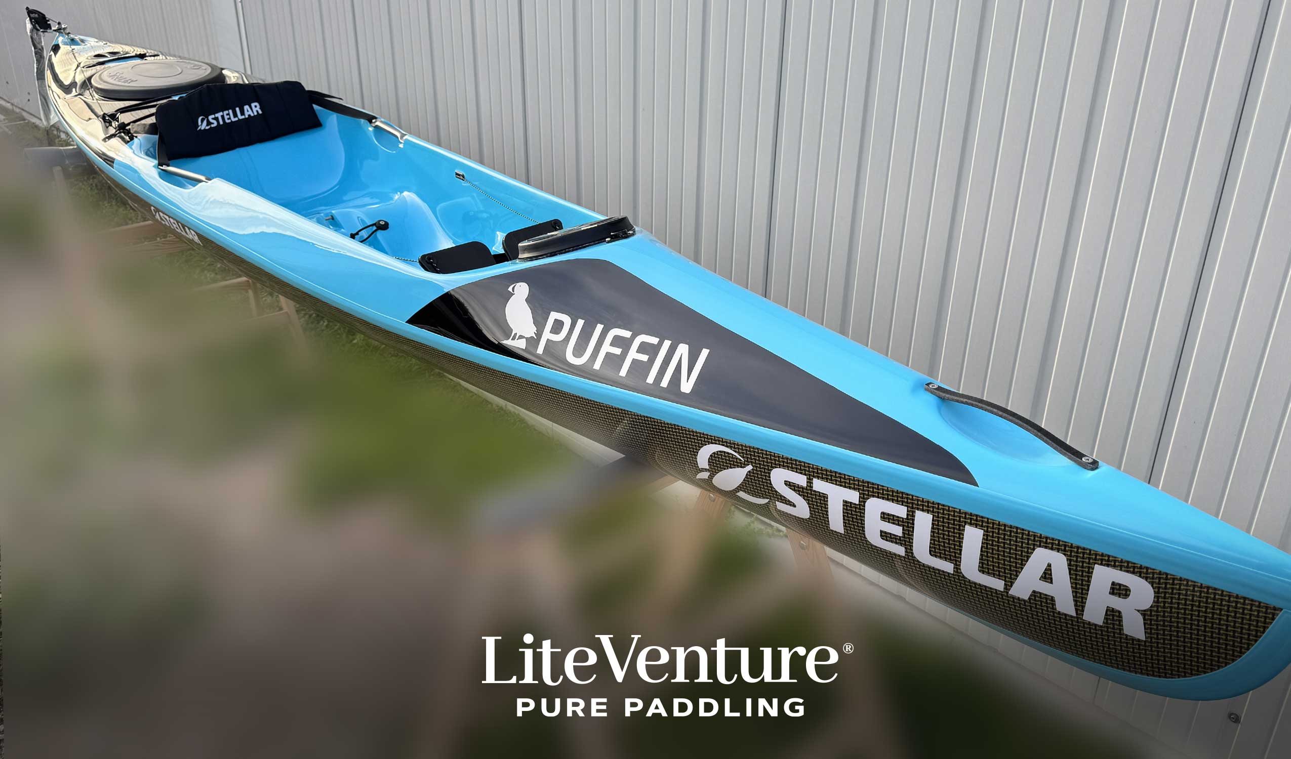 S14S G2 Puffin-Multisport-black fresh blue