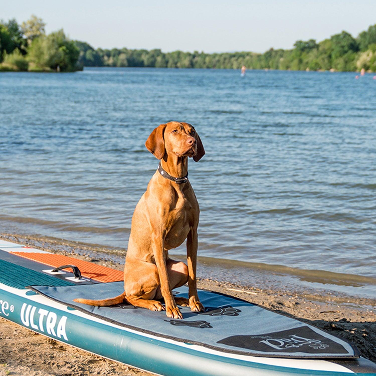 Produktbild von Zubehör " Dog Pad " der Marke Lite Venture für 59.00 €. Erhältlich online bei Lite Venture ( www.liteventure.de )